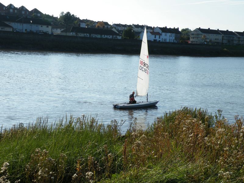 2008 October 11 race